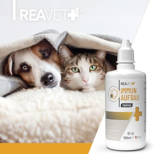 ReaVET Immun Aufbau-Tropfen für Hunde & Katzen 100 ml - Stärkung des Immunsystem, Abwehrkraft I Vitamine Multivitamin Liquid - Wertvolle, rein natürliche Vitamine & Mineralien