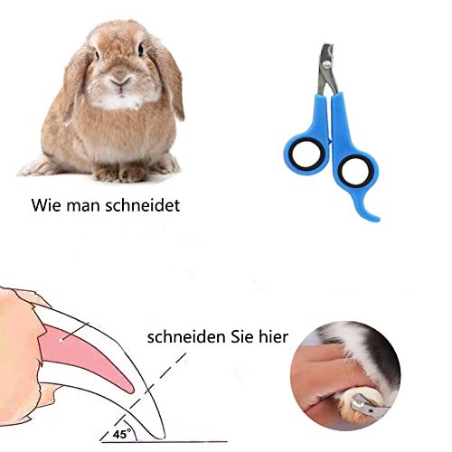 Kaninchen Pflegebürste, Kleines Haustierhaar Bürsten Kit Bürste, Massagebürste Häschen-Nagelknipser Kleines Haustier-Pflegebürsten Kit für Katzen, Welpen, Kaninchen, Hamster(Blau)