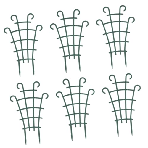 lurrose 6 Aওx _ ϗtApAX^h X^bJu݌vŃcUƕQh~ɂȃK[fx