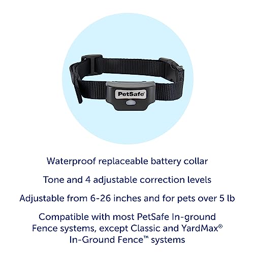 Petsafe Rechargeable In-Ground Pet Fence Receiver Collar For Cats And Dogs, Waterproof With Tone And Static Correction, Fits Pets 5 Lbs And Up From The Parent Company Of The Invisible Fence Brand #TOP3