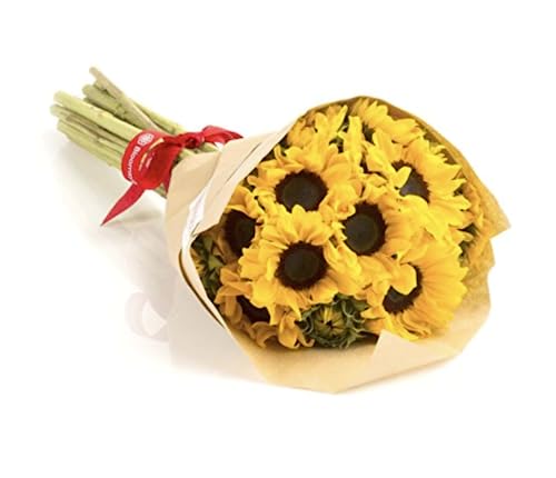 BloomsyBox: Farm-Fresh Sunflowers | 10 Stems Yellow Design Care Card Flower Food Lush Greenery Flower Delivery Birthday Anniversary Get well Wedding Flowers | No Vase