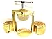 Premium Dental Laboratory LAB Spring Press Compress W/Two Brass Denture Flask (CYNAMED)