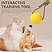 Bemonew 3 Inch Yellow Rubber Dog Ball on Rope Interactive Fetch & Teething Toy for Dogs