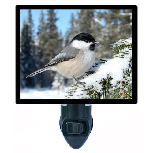 Lámpara de noche LED diseño pájaro invierno