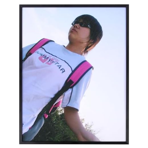 Aynoo 16x20 Inch Picture Frame Black 16x20 METAL Aluminium Picture Frame Display Pictures 16x20 Without Mat Trendsetter Poster Puctyre Frame 16”x20” Aluminium Metal Black