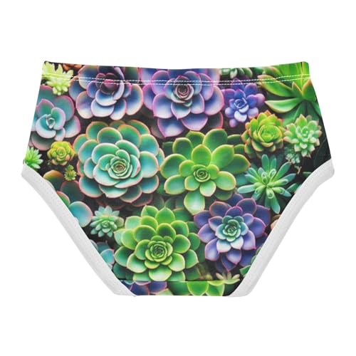 Cotton Girls Underwear Toddlers Succulent Plant Colorful Girl Panties Cute Stylish Kids Briefs Undies 2t2