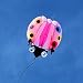 Tylyund Cerfs-Volants 2 Mètres Carrés Grande Coccinelle 3D Cerf-Volant Doux en Plein Air Jouets Volants Cerfs-Volants pour Adultes Vlieger Kitesurf Kite Reel
