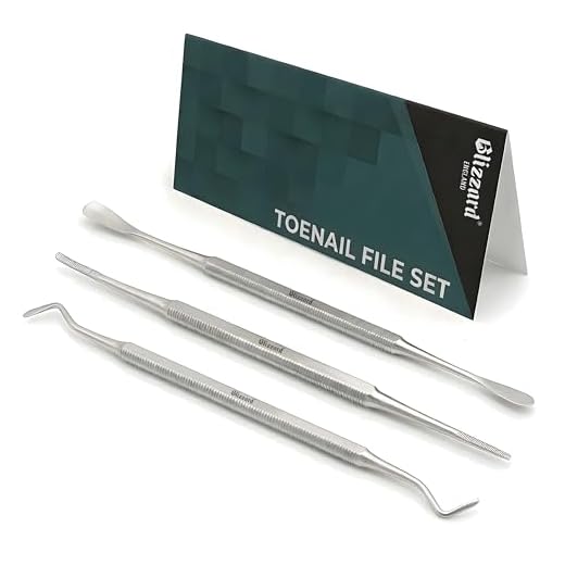 Blizzard Premium Double-Ended Tool Kit aus Edelstahl enthält Feile, Reiniger und Lifter zur Reinigung und Pflege von eingewachsenen Zehennägeln, 3-teilig Schwarz