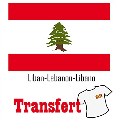 SAFIRMES - 3 trasferimenti per tessuto chiaro, 25