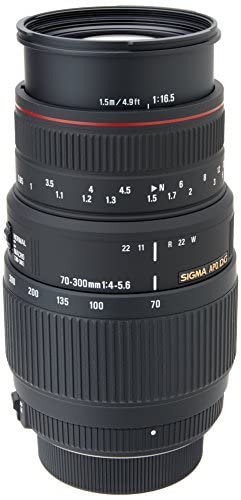 Sigma 70-300Mm F/4-5.6 Dg Apo Macro Motorized Telephoto Zoom Lens For Nikon Slr Cameras #TOP5