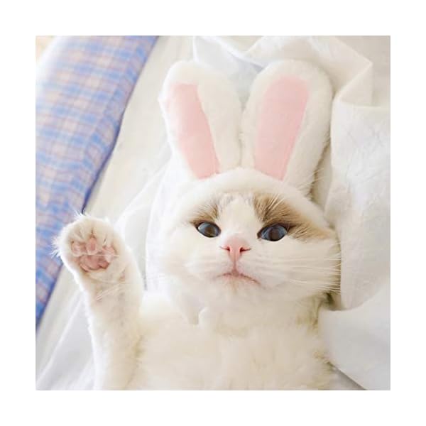 Ximishop cute costume bunny rabbit hat with ears for cats & small dogs party costume easter pet accessory headwear - image 6