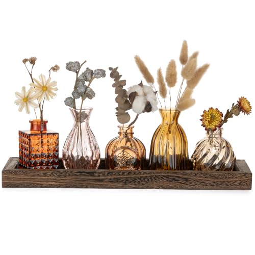 Hewory 5er Kleine Vasen Set mit Holztablett für Tischdeko Herbstdeko Innen kaufen