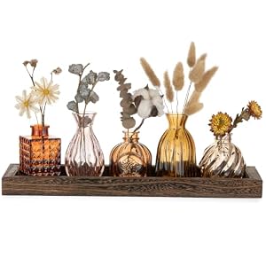 Hewory 5er Kleine Vasen Set mit Holztablett für Tischdeko Herbstdeko Innen