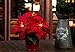 Christmas Decoration Pre-Lit Faux Poinsettia Plant-LED Lighted Artificial Poinsettia in Pot (Red)