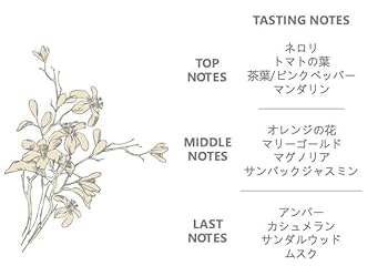 ハルエッセンツァプルサンテ YOUFIST ミニボトルセット アソート ハル様専用エッセンツァプルサンテ YOUFIST ミニボトルセット