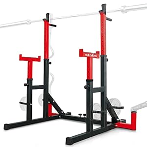 STOZM 14-Gauge Steel Adjustable Squat Rack Stand/Barbell Rack with Weight Plate Storage, Dip Bar Station, Barbell Holder…