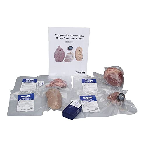 Carolina Comparative Mammalian Organ Dissection Kit Ð Study Eye, Brain, Kidney & Heart Anatomy | Includes Histology Slides | Ngss-Aligned | Preserved in Safe Solution | Ideal for Stations Or Class