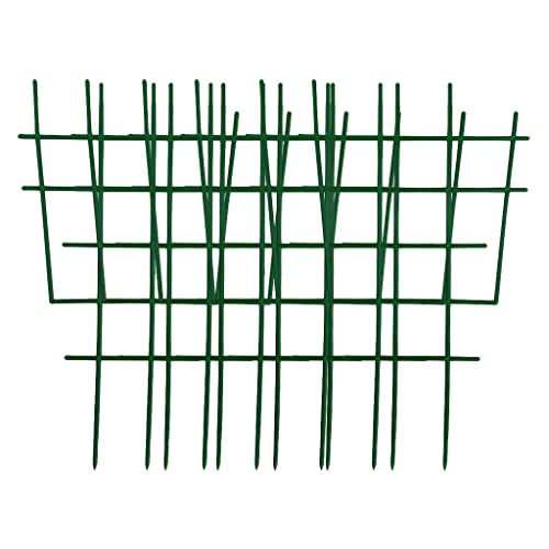 Qialexicon 6s[X/AAoRZbg~jK[fvX`bNAϋv