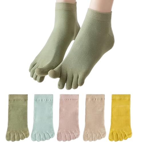 Ech.Apr 5{w\bNX fB[X 5F5Zbg ܖ{w C X|[c\bNX p ʋChL ^ lGʗp K \bNX Lk  \bNX (JP, TCY, 22.0 cm, 25.0 cm, M[, V[g,