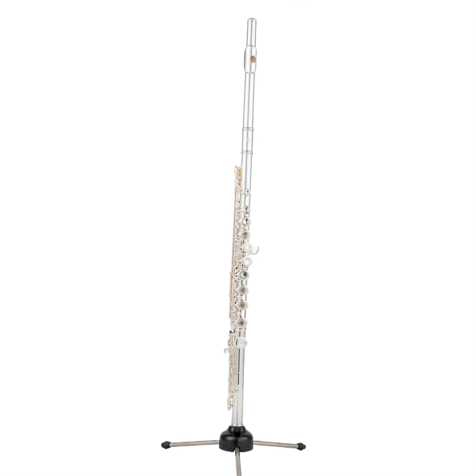 Querflöte 16 Löcher Geschlossen C-Taste Flöte Cupronickel Versilberung Flauta Transversal Instrumentos Fall(1000RBE)