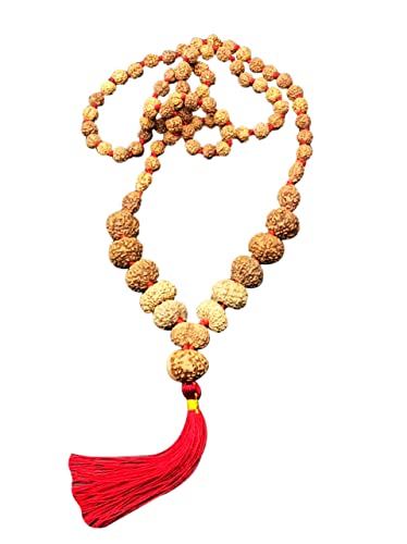 Mala Rudraksha de taille moyenne pour méditer au quotidien avec 1 à 14 Mukhi