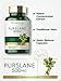 Carlyle Purslane Capsules | 500mg | 120 Count | Portulaca Oleracea Extract | Non-GMO, Gluten Free Supplement