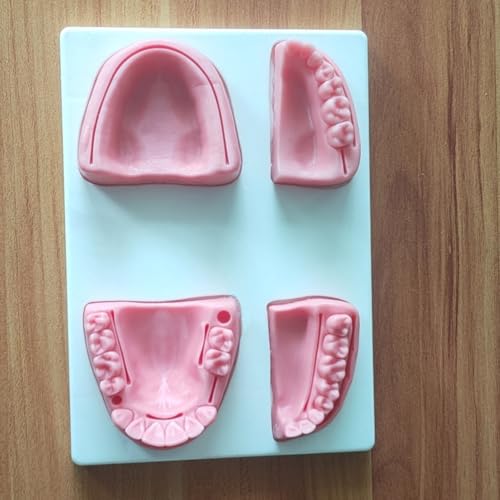 Modelo de práctica oral para simulación de limpieza y enseñanza 4