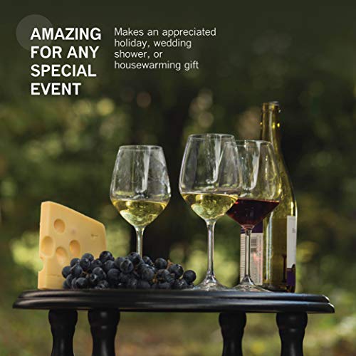 Bormioli Rocco ZPV-918 14.75 Oz White Wine Glasses (Set Of 4): Crystal Clear Star Glass thumb #2