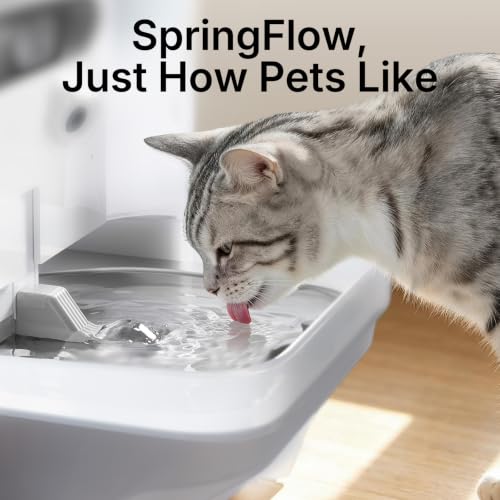 Image of PETKIT Eversweet Ultra Cat Water Fountain with AI Camera, Wastewater Separation Filterless 169fl oz /5L Automatic Dog Water Fountain for Small Dogs, 5G WiFi 140‌Wide-Angle Lens App Control