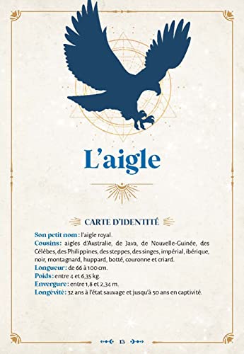 Les messages des oiseaux: symboliques, oracles, énergies