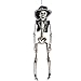 Produktbild Carnival Toys 9039 Mexican Skelett, 40 cm, one Size