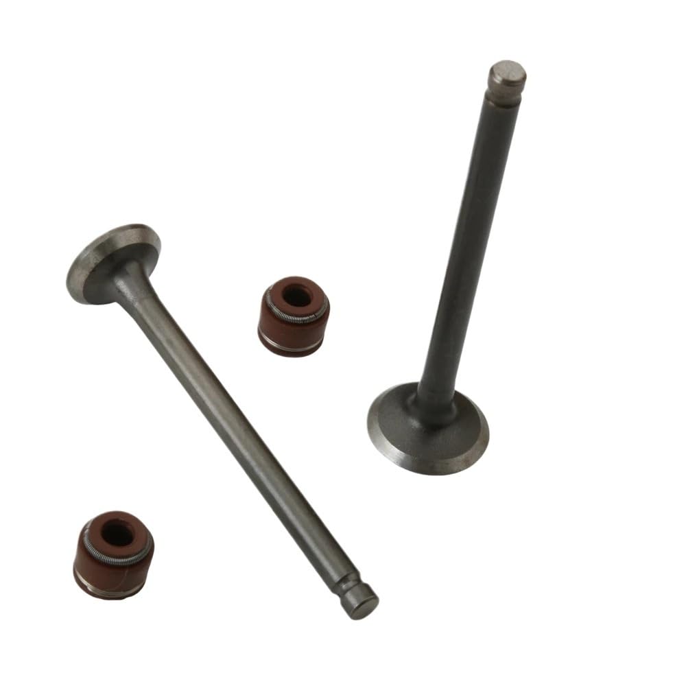 Valvole di aspirazione e scarico C50 compatibili con Z50 50CC Jazz50 Benly CD50 50CC CRF50 50CC Magna50 50CC DAX50 50CC XR50 50CC 50CC Sostituisce 14711GK4013 14721-GK4-601