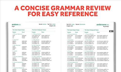 501 Italian Verbs, Fifth Edition (Barron's 501 Verbs) - Image 2