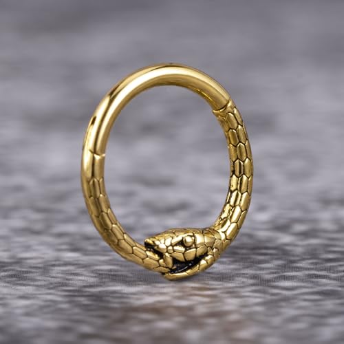 DOEARKO 16G Septum Ring 8mm Fashion Nose Rings Cartilage Hoop Segment Septum Clickers 316L Stainless Steel Piercing Body Jewelry4