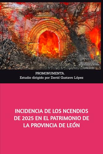 INCIDENCIA DE LOS INCENDIOS DE 2025 EN EL PATRIMONIO DE LA PROVINCIA DE LEÓN