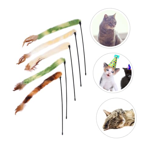 BATHVEVE 5 L_ щHtybgpXeBbN ŗVѐSL炵 LƂ̃R~jP[Vi ^s _J[