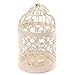 Homegoal Bird Cage Metal Hollow Out Decorative Birdcage Iron Candle Holder Candlestick Hanging Lantern (White)