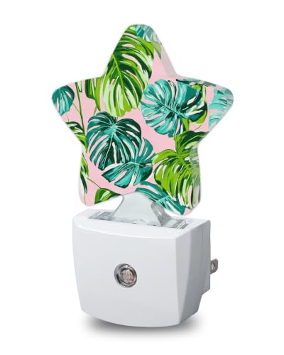 Image of Star Night Light with Dusk to Dawn Sensor, Tropical Palm Leaves Plug in Night Light for Kids Bedroom Nursery, Soft Warm Glow Lamp for Hallway Bathroom Energy Saving