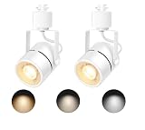 Bravsekai 2-Light 10W Dimmable GU10 LED Track Lighting Heads(No Track Rail), 3CCT Selectable White Ceiling Spotlight Fixture for Indoor Home & Commercial Use