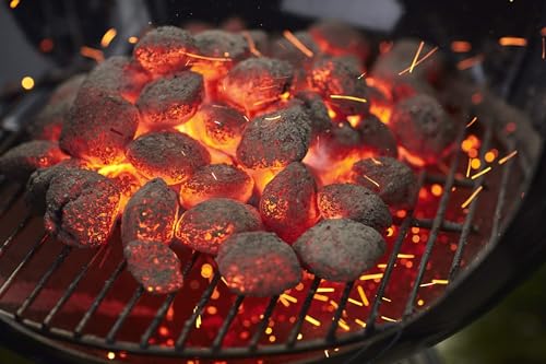 Image of Coconut Shell Barbecue Charcoal Briquettes 5Kg