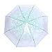 flexman Cherry Blossoms Umbrella, Fashionable Transparent Windproof Manual Folding Umbrella, Cute Cherry Blossom Floral Clear Bubble Umbrella with Alloy Handle, Princess Umbrella (Light Green)