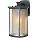 Maxim 3154CDWSBZ Bungalow Seedy and Wilshire Glass Outdoor Wall Sconce, 1-Light 100 Watt, 16"H x 8"W, Bronze
