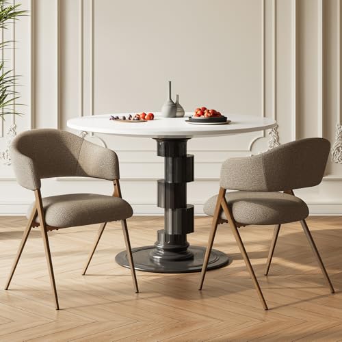 COLAMY Dining Chairs Set of 2, Modern Dining Room Chairs with 135° Recline & 18.9
