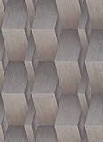 Vinyltapete (Trägermaterial: Vlies) - 10, 05 m (Länge) x 0, 53 m (Breite) - 5, 32 qm