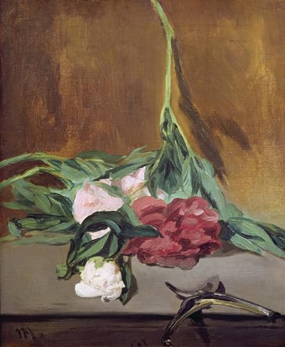 Cuadro pintura al óleo de Edouard Manet Peonías, impresión artística 60x90cm