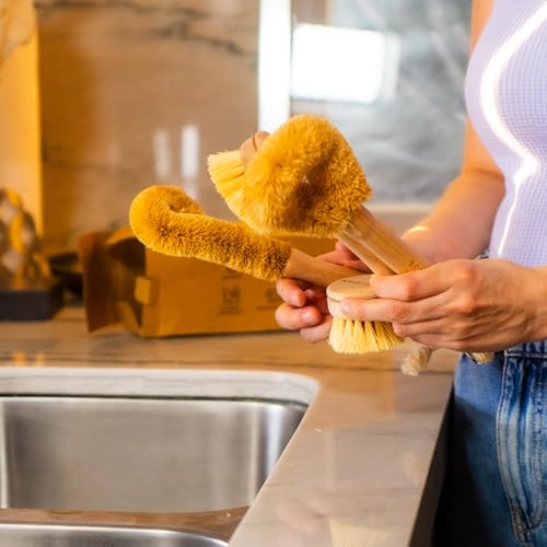 Opiniones y reviews de Utensilios de limpieza para comprar online. 3 Utensilios de limpieza marca ECOGREEN (3)