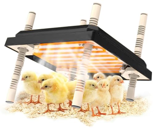 Chick Brooder Heating Plate,Adjustable Height and Angle Chick Brooder,Safe Incubators Alternative to Heat Lamps and Hens,for Chicks/Ducks Thermostat (10" x 10") for 15 Chicks - Black