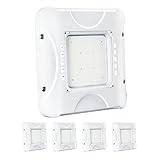 Parmida (Paquete de 4) Luz LED para dosel, 150 W, 0-10 V regulable, 100-277 VAC, IP65 impermeable, ETL, luz de tienda,...