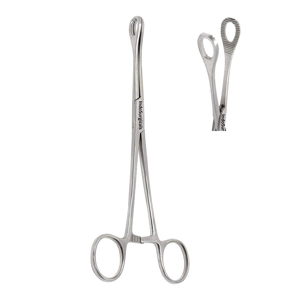 IS IndoSurgicals Sponge Holder/Holding Forceps (6", 1)-image-20