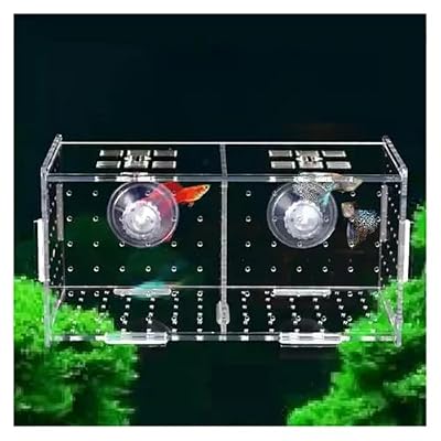 Transparent Acrylic Aquarium Isolation Box - Single & Double Grid Fry Breeding Tank for Fish Hatcheries(Hook)